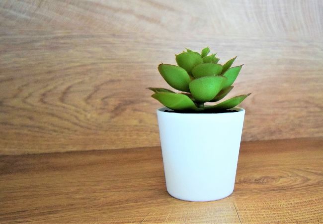 Ferienwohnung in Lopar - Ferienwohnung in Lopar mit Meerblick, Terrasse, Klimaanlage, W-LAN (613-2) Ferienwohnung in Lopar - Ferienwohnung in Lopar mit Meerblick, Terrasse, Klimaanlage, W-LAN (613-2)