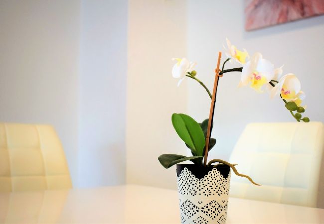 Ferienwohnung in Lopar - Ferienwohnung in Lopar mit Meerblick, Terrasse, Klimaanlage, W-LAN (613-5) Ferienwohnung in Lopar - Ferienwohnung in Lopar mit Meerblick, Terrasse, Klimaanlage, W-LAN (613-5)