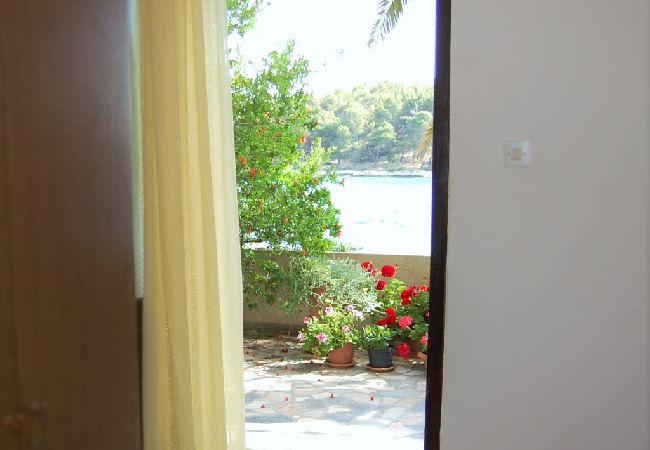 Ferienwohnung in Tribunj - Ferienwohnung in Tribunj mit Meerblick, Terrasse, Klimaanlage, W-LAN (3348-2) Ferienwohnung in Tribunj - Ferienwohnung in Tribunj mit Meerblick, Terrasse, Klimaanlage, W-LAN (3348-2)