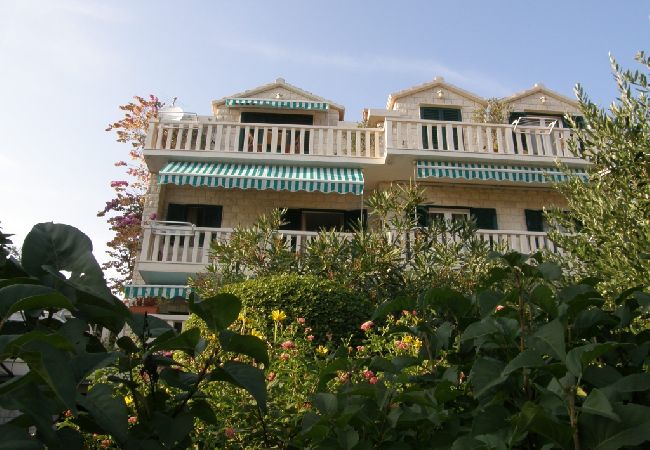 Ferienwohnung in Bol - Ferienwohnung in Bol mit Meerblick, Balkon, Klimaanlage, W-LAN (3416-1) Ferienwohnung in Bol - Ferienwohnung in Bol mit Meerblick, Balkon, Klimaanlage, W-LAN (3416-1)