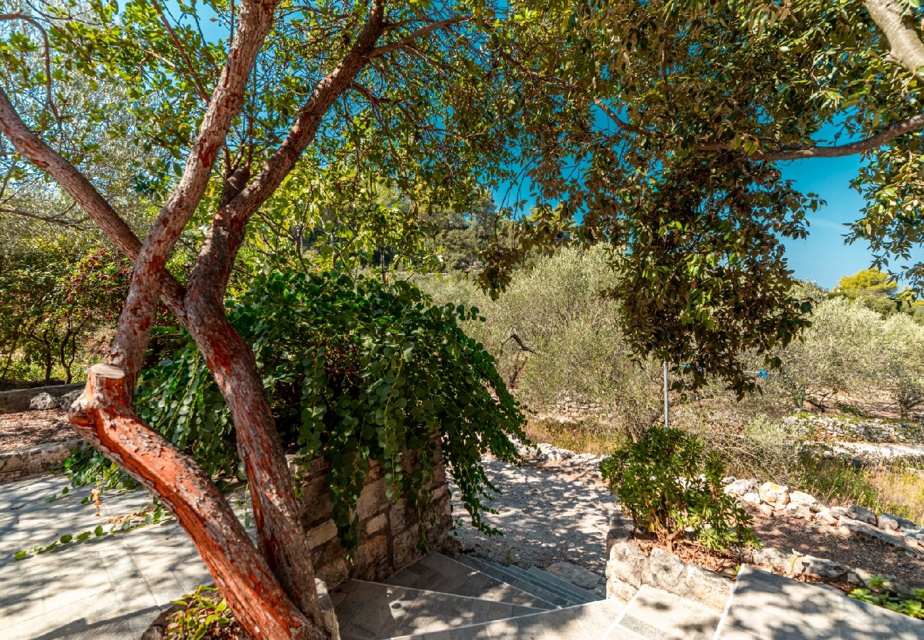 Ferienhaus in Vela Luka - Robinsonhaus in Vela Luka mit Meerblick, Terrasse, Klimaanlage, W-LAN (3439-1)