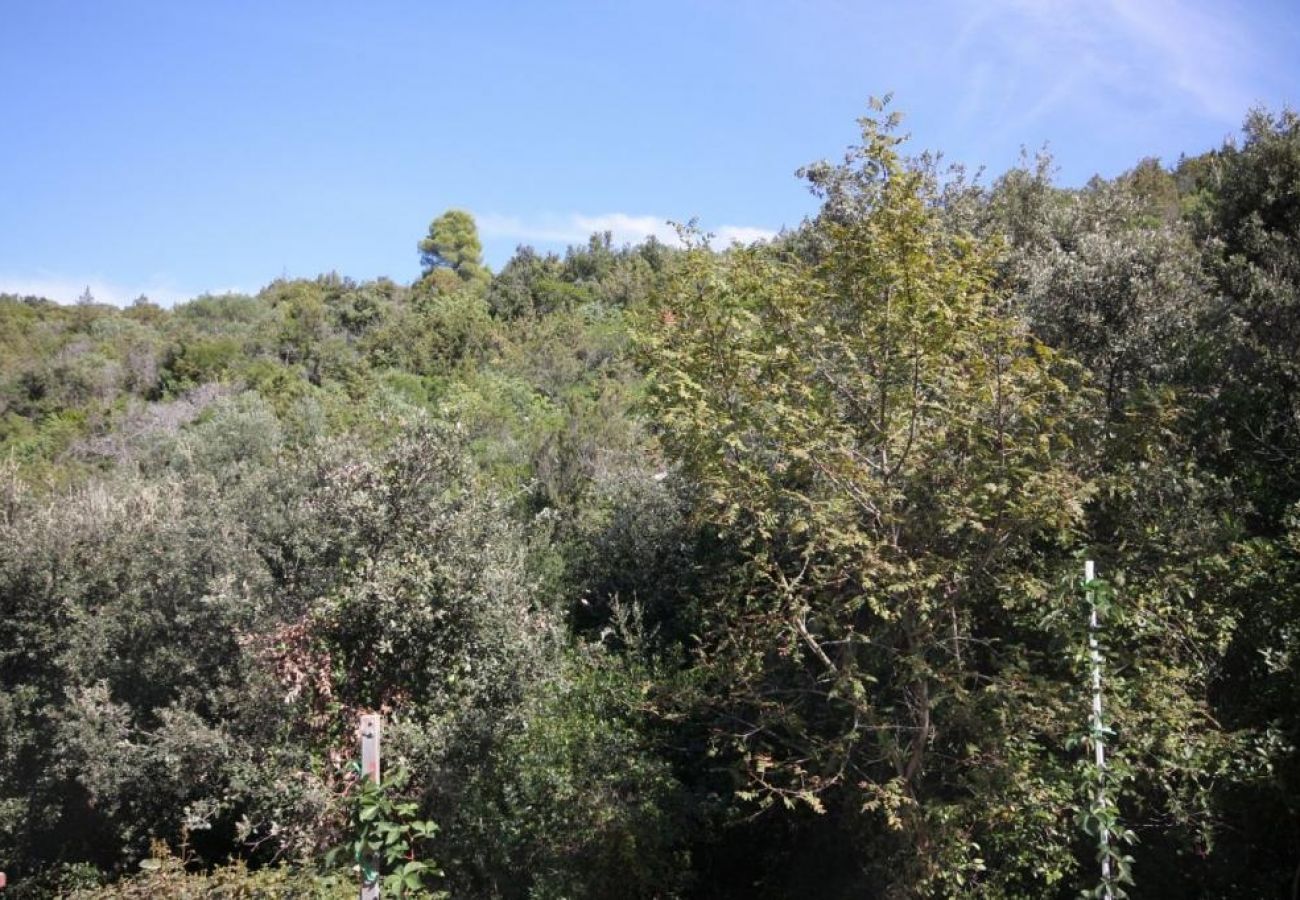 Ferienwohnung in Stari Grad - Ferienwohnung in Basina mit Meerblick, Terrasse (3450-1)