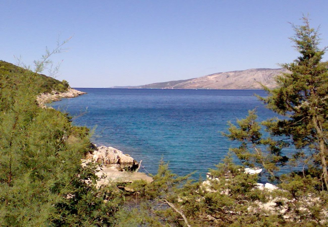 Ferienwohnung in Stari Grad - Ferienwohnung in Basina mit Meerblick, Terrasse (3450-1)