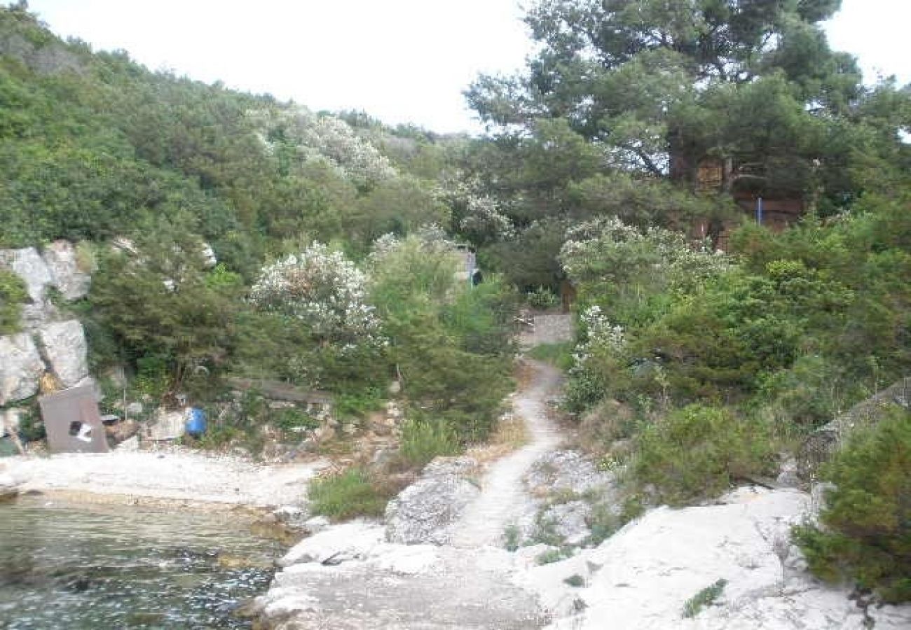 Ferienwohnung in Stari Grad - Ferienwohnung in Basina mit Meerblick, Terrasse (3450-1)