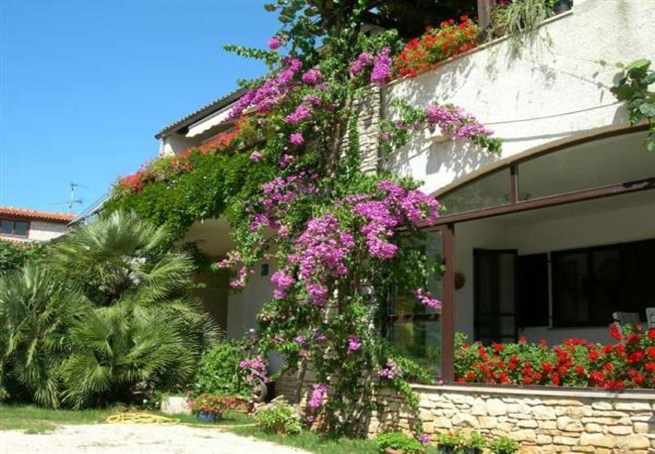 Ferienwohnung in Rovinj - Ferienwohnung in Rovinj mit Terrasse, Klimaanlage, W-LAN, Waschmaschine (3482-3)