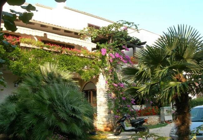 Ferienwohnung in Rovinj - Ferienwohnung in Rovinj mit Balkon, Klimaanlage, W-LAN, Waschmaschine (3482-7) Ferienwohnung in Rovinj - Ferienwohnung in Rovinj mit Balkon, Klimaanlage, W-LAN, Waschmaschine (3482-7)