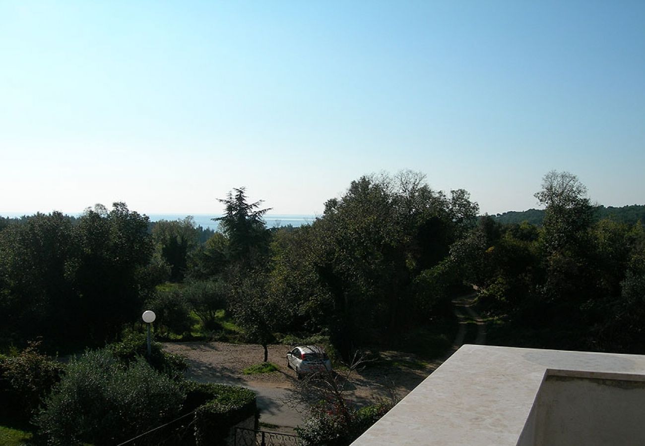 Ferienwohnung in Rovinj - Ferienwohnung in Rovinj mit Meerblick, Balkon, Klimaanlage, W-LAN (3482-8)