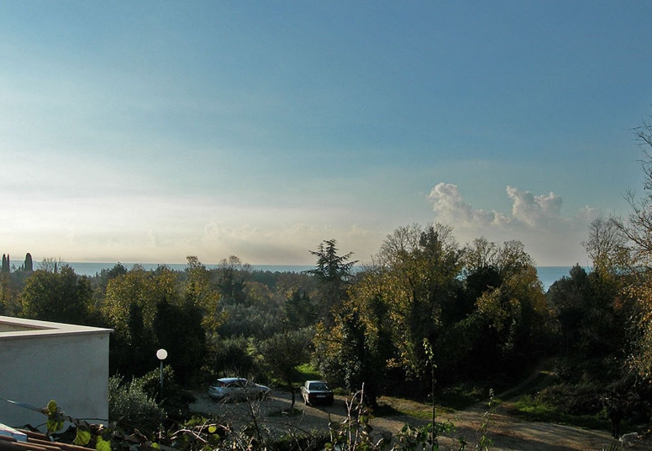 Ferienwohnung in Rovinj - Ferienwohnung in Rovinj mit Meerblick, Balkon, Klimaanlage, W-LAN (3482-9)