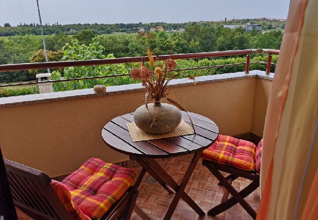 Ferienwohnung in Rovinj - Ferienwohnung in Rovinj mit Balkon, Klimaanlage, W-LAN (3483-1) Ferienwohnung in Rovinj - Ferienwohnung in Rovinj mit Balkon, Klimaanlage, W-LAN (3483-1)