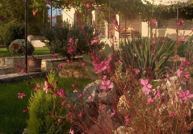 Studio in Rovinj - Studioapartment in Rovinj mit Balkon, Klimaanlage, W-LAN (3483-3) Studio in Rovinj - Studioapartment in Rovinj mit Balkon, Klimaanlage, W-LAN (3483-3)