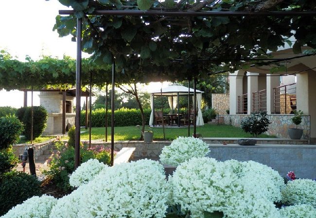 Studio in Rovinj - Studioapartment in Rovinj mit Balkon, Klimaanlage, W-LAN (3483-3) Studio in Rovinj - Studioapartment in Rovinj mit Balkon, Klimaanlage, W-LAN (3483-3)