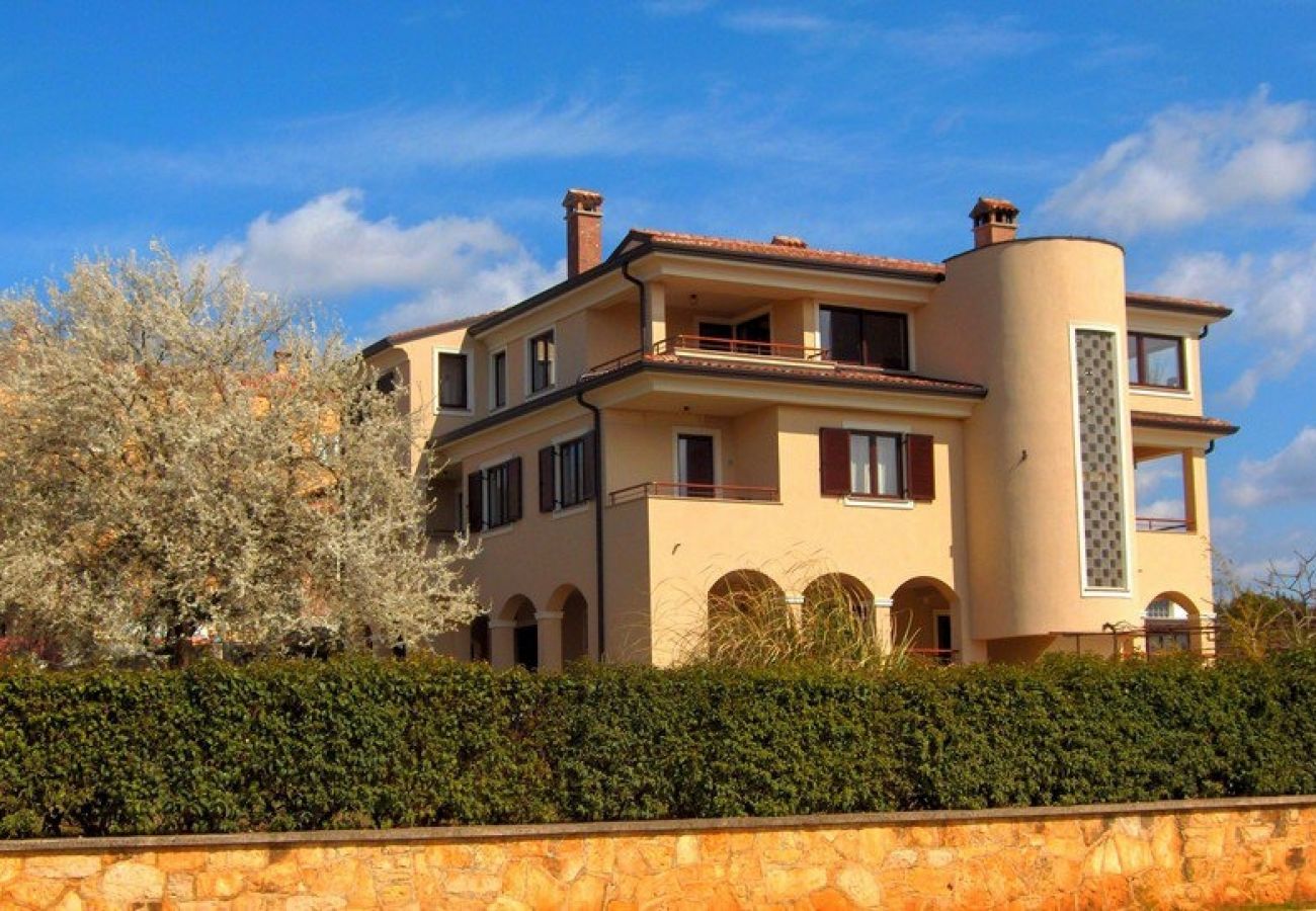 Ferienwohnung in Rovinj - Ferienwohnung in Rovinj mit Terrasse, Klimaanlage, W-LAN (3483-4)