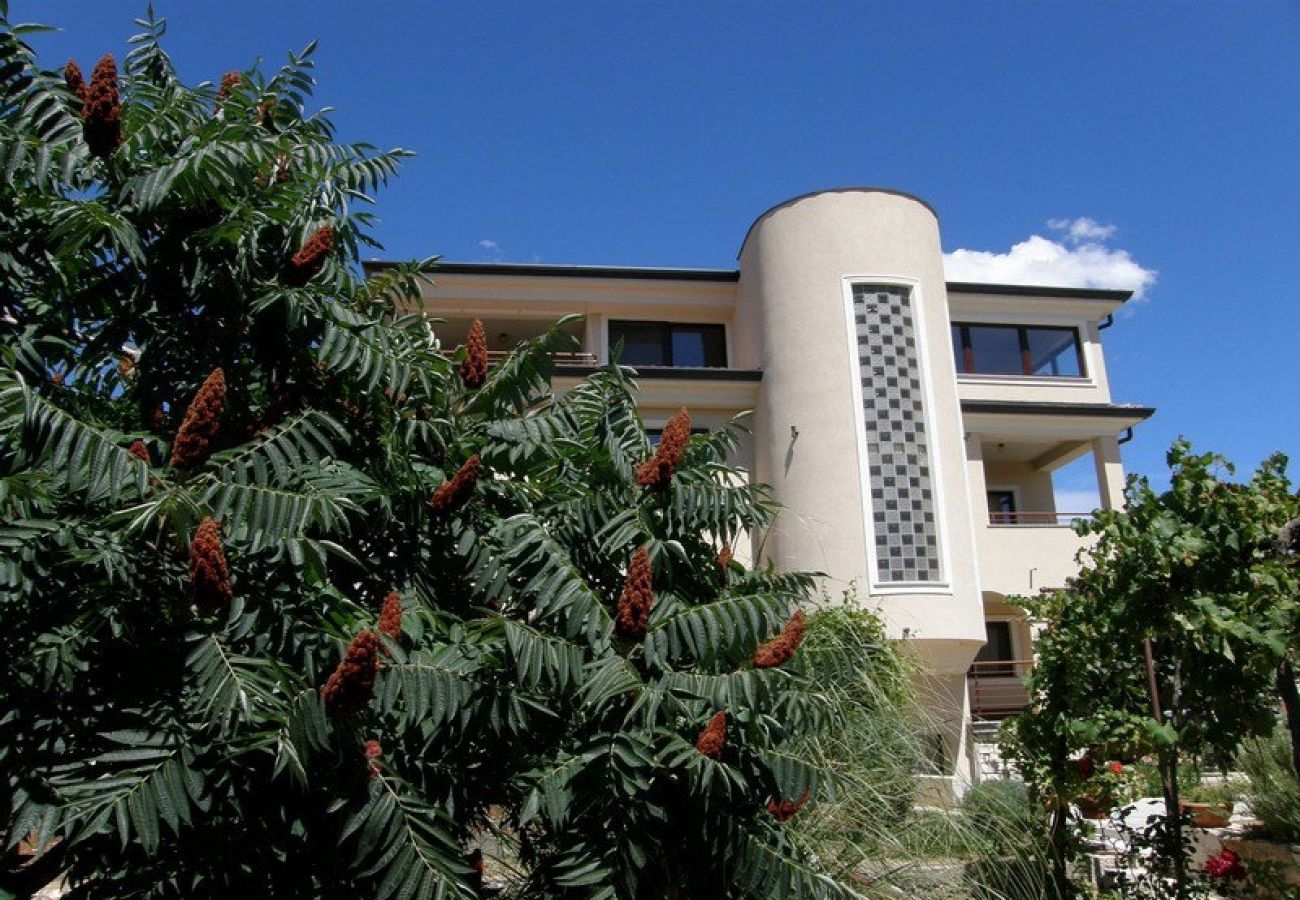 Ferienwohnung in Rovinj - Ferienwohnung in Rovinj mit Terrasse, Klimaanlage, W-LAN (3483-4)