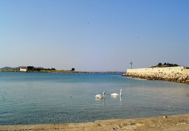 Ferienwohnung in Pakoštane - Ferienwohnung in Pakoštane mit Meerblick, Balkon, Klimaanlage, W-LAN (3539-2) Ferienwohnung in Pakoštane - Ferienwohnung in Pakoštane mit Meerblick, Balkon, Klimaanlage, W-LAN (3539-2)