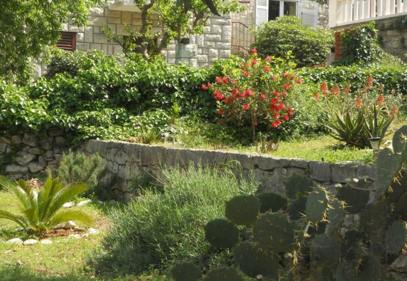 Ferienwohnung in Korcula - Ferienwohnung in Korčula mit Meerblick, Terrasse, Klimaanlage, W-LAN (3555-1)