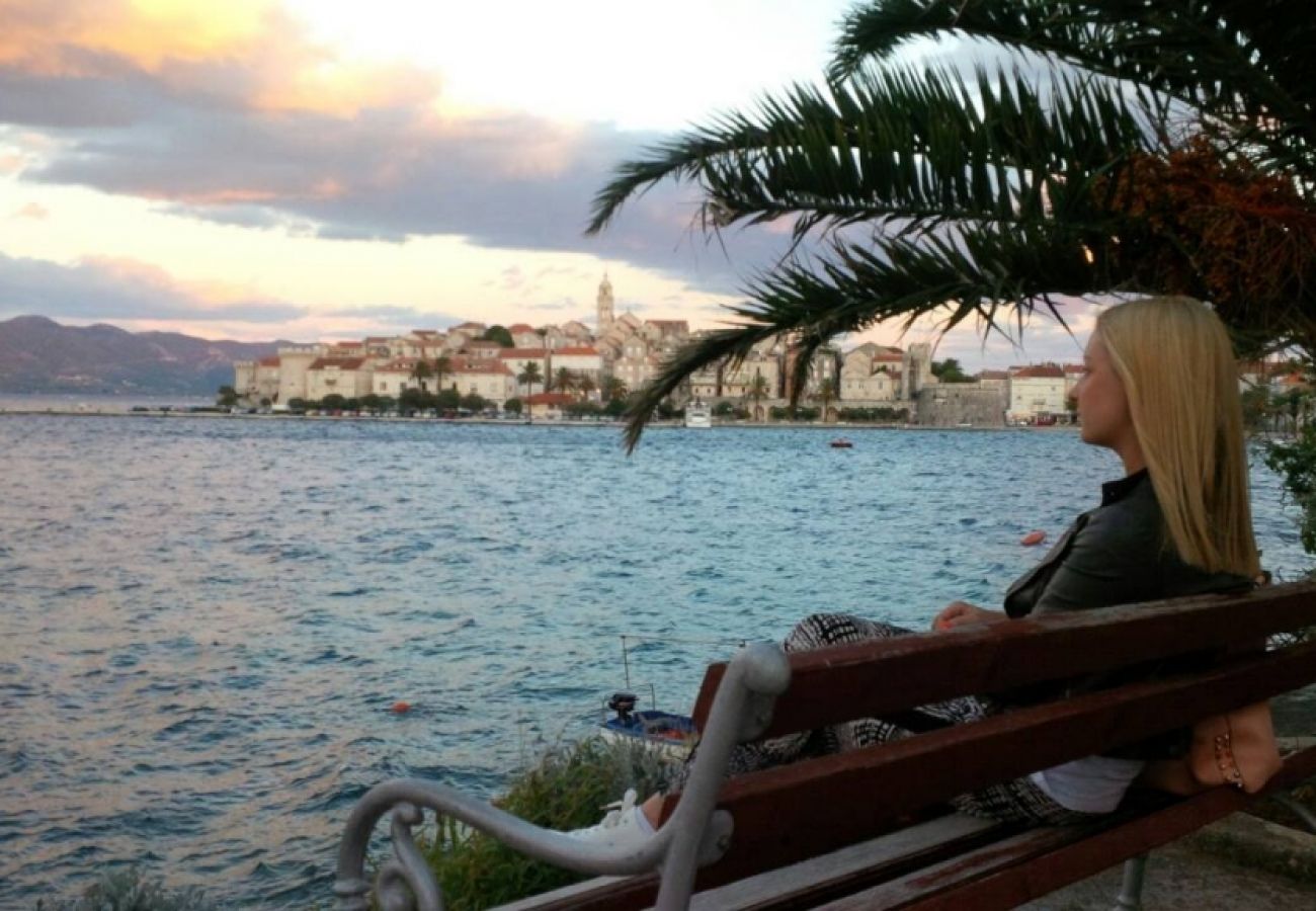 Ferienwohnung in Korcula - Ferienwohnung in Korčula mit Meerblick, Terrasse, Klimaanlage, W-LAN (3555-1)