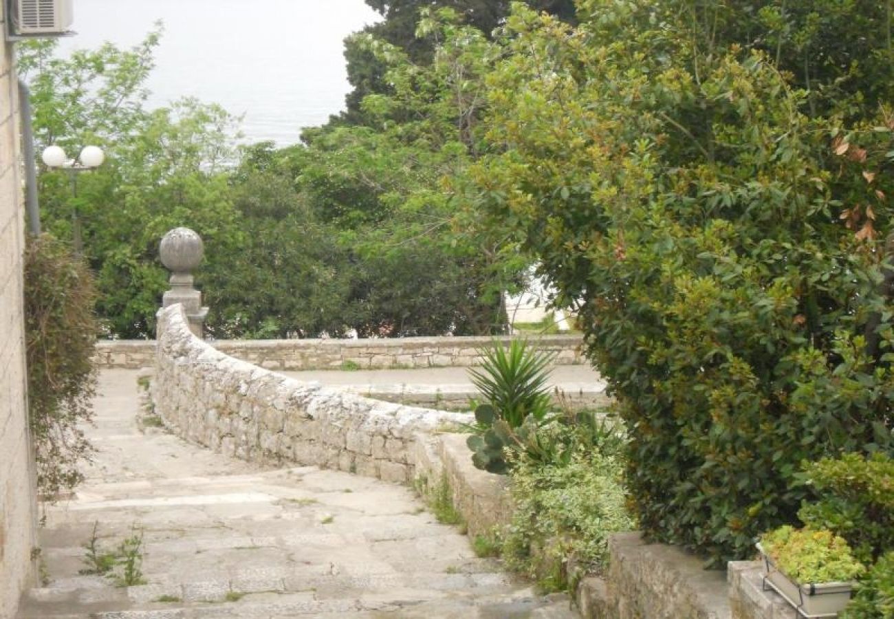 Ferienwohnung in Korcula - Ferienwohnung in Korčula mit Meerblick, Terrasse, Klimaanlage, W-LAN (3555-1)