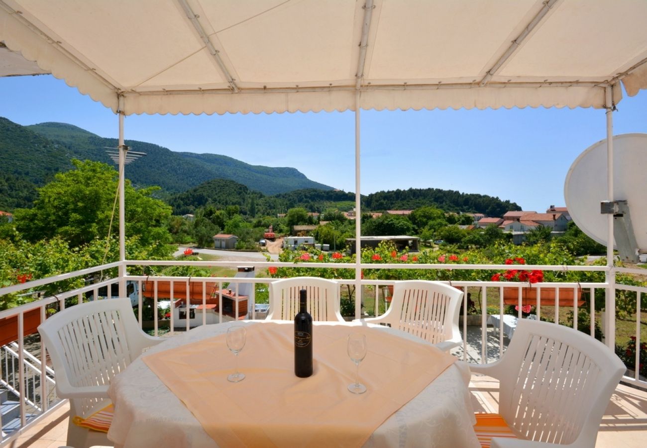 Ferienwohnung in Žuljana - Ferienwohnung in Žuljana mit Meerblick, Terrasse, W-LAN, Spülmaschine (3558-2)