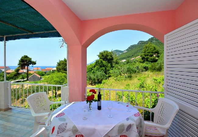 Ferienwohnung in Žuljana - Ferienwohnung in Žuljana mit Meerblick, Terrasse, Klimaanlage, W-LAN (3558-3) Ferienwohnung in Žuljana - Ferienwohnung in Žuljana mit Meerblick, Terrasse, Klimaanlage, W-LAN (3558-3)