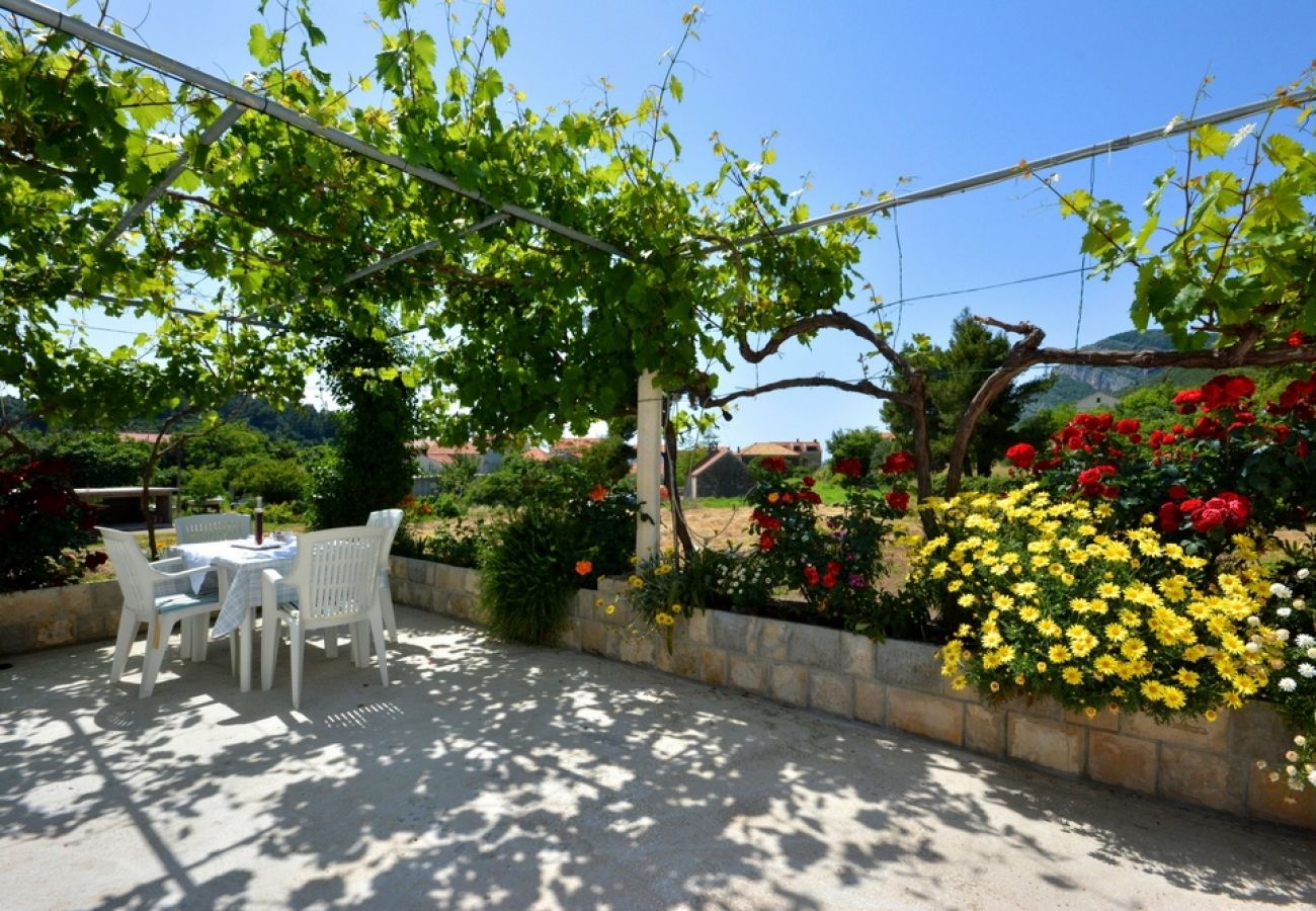 Ferienwohnung in Žuljana - Ferienwohnung in Žuljana mit Terrasse, Klimaanlage, W-LAN (3558-4)