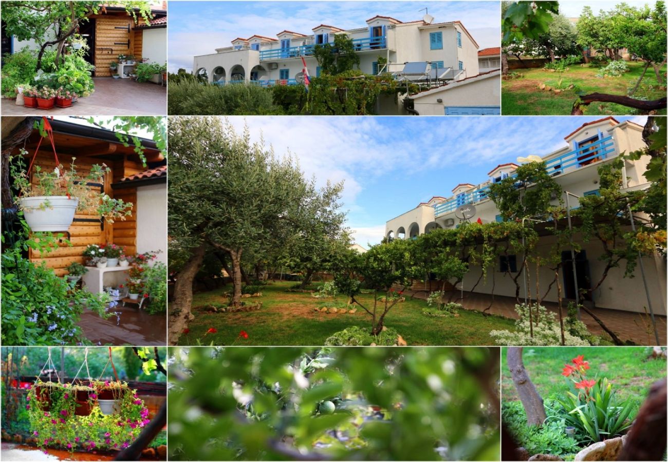 Ferienwohnung in Sucuraj - Ferienwohnung in Sućuraj mit Meerblick, Balkon, Klimaanlage, W-LAN (3560-2)