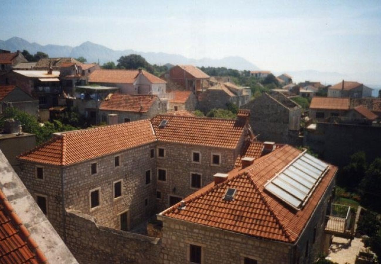 Ferienwohnung in Sucuraj - Ferienwohnung in Sućuraj mit Meerblick, Balkon, Klimaanlage, W-LAN (3560-2)