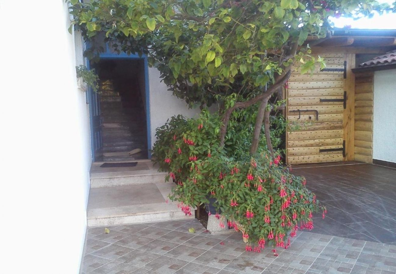 Ferienwohnung in Sucuraj - Ferienwohnung in Sućuraj mit Meerblick, Balkon, Klimaanlage, W-LAN (3560-2)