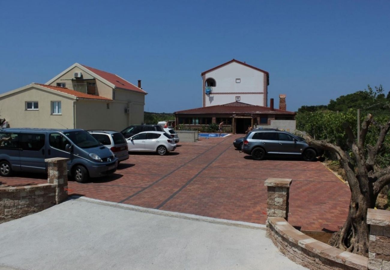 Ferienwohnung in Novalja - Ferienwohnung in Novalja mit Meerblick, Terrasse, Klimaanlage, W-LAN (3565-1)