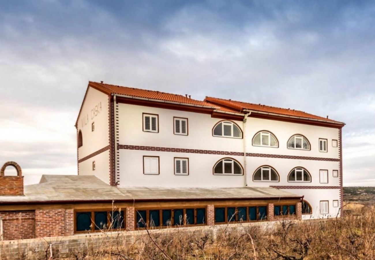 Ferienwohnung in Novalja - Ferienwohnung in Novalja mit Meerblick, Terrasse, Klimaanlage, W-LAN (3565-1)