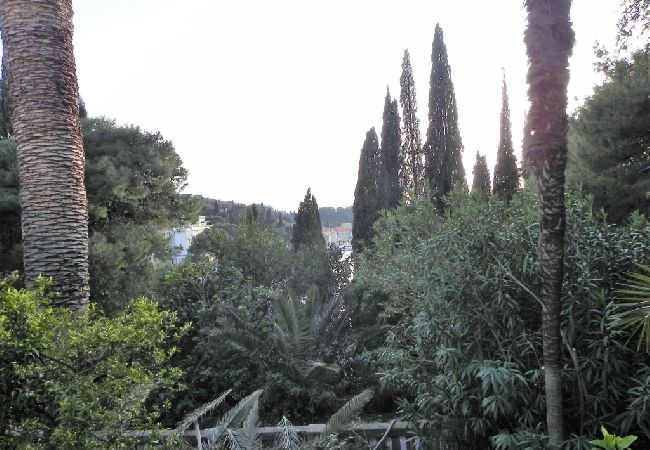 Ferienwohnung in Cavtat - Ferienwohnung in Cavtat mit Meerblick, Balkon, Klimaanlage, W-LAN (3566-1) Ferienwohnung in Cavtat - Ferienwohnung in Cavtat mit Meerblick, Balkon, Klimaanlage, W-LAN (3566-1)