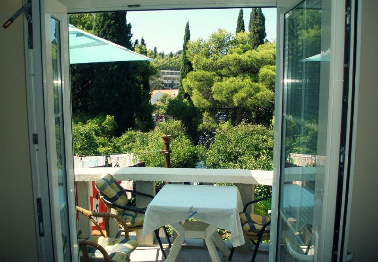 Ferienwohnung in Cavtat - Ferienwohnung in Cavtat mit Meerblick, Balkon, Klimaanlage, W-LAN (3566-1)