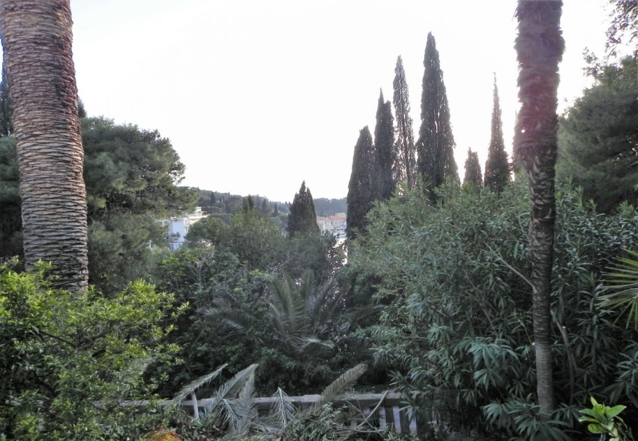 Ferienwohnung in Cavtat - Ferienwohnung in Cavtat mit Meerblick, Balkon, Klimaanlage, W-LAN (3566-1)