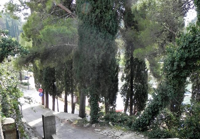 Ferienwohnung in Cavtat - Ferienwohnung in Cavtat mit Meerblick, Terrasse, Klimaanlage, W-LAN (3566-2) Ferienwohnung in Cavtat - Ferienwohnung in Cavtat mit Meerblick, Terrasse, Klimaanlage, W-LAN (3566-2)
