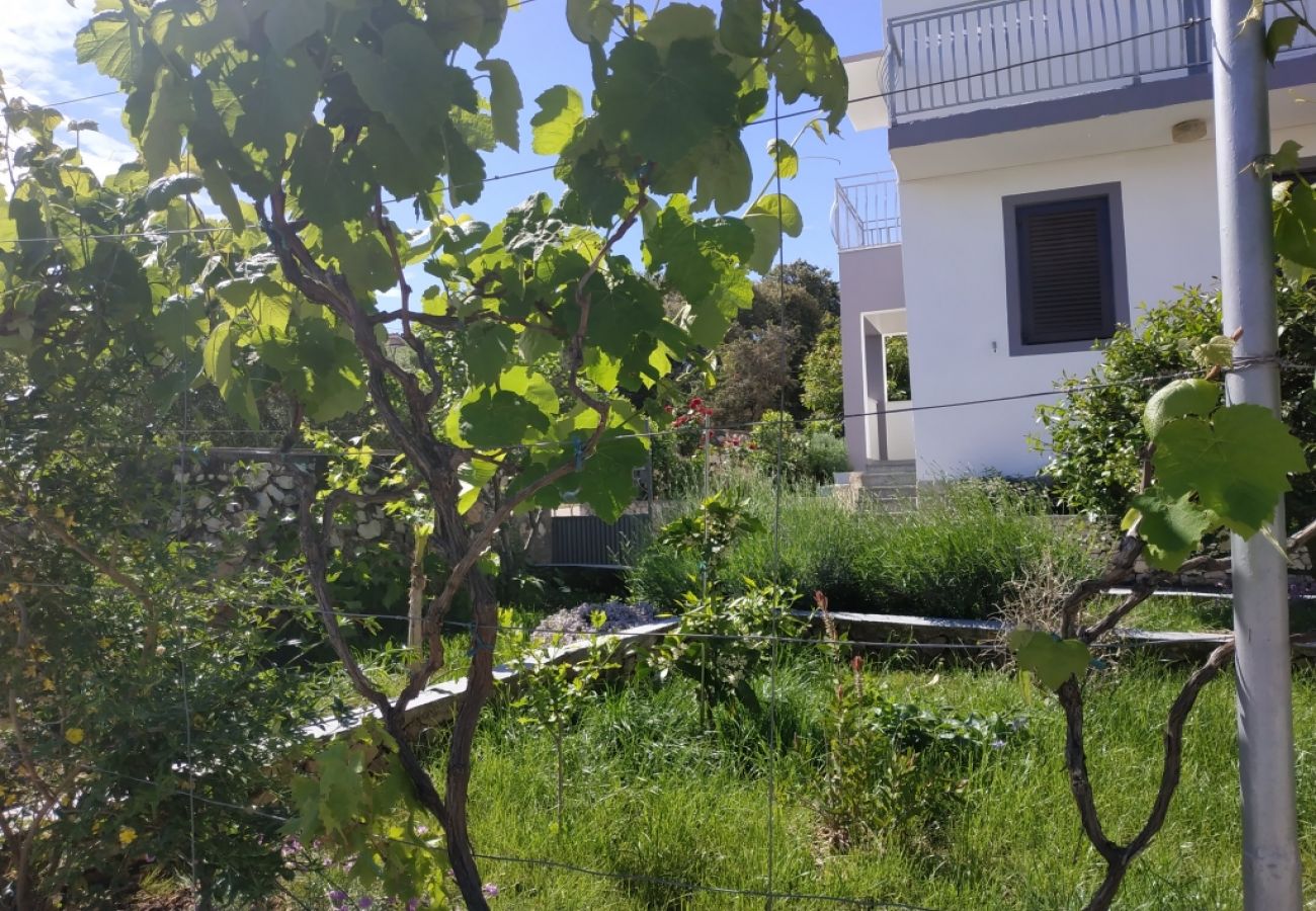 Ferienwohnung in Ražanj - Ferienwohnung in Ražanj mit Terrasse, Klimaanlage, W-LAN, Waschmaschine (3567-1)