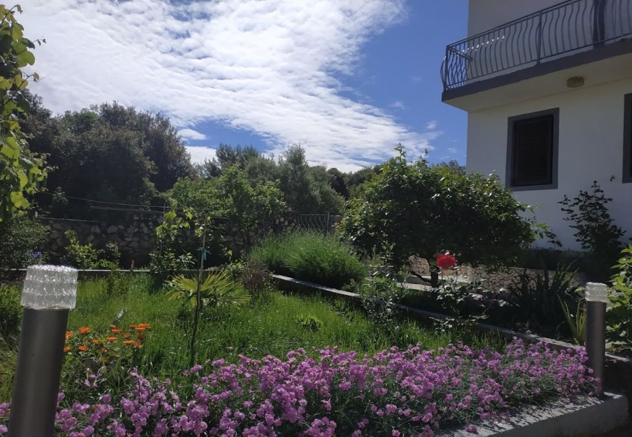 Ferienwohnung in Ražanj - Ferienwohnung in Ražanj mit Terrasse, Klimaanlage, W-LAN, Waschmaschine (3567-1)