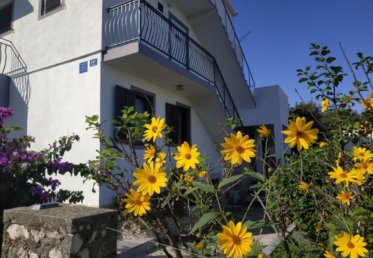 Ferienwohnung in Ražanj - Ferienwohnung in Ražanj mit Terrasse, Klimaanlage, W-LAN, Waschmaschine (3567-1)