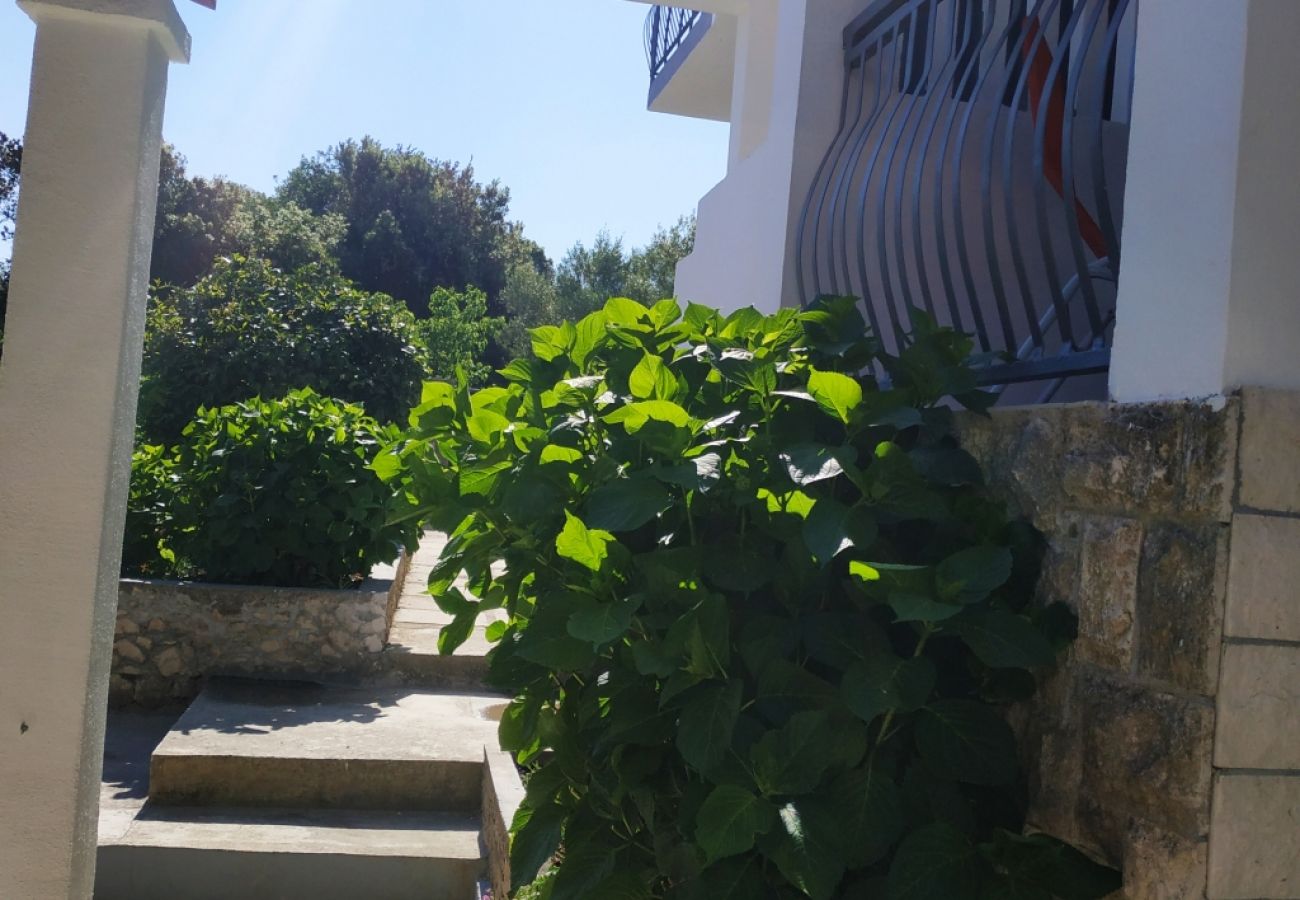 Ferienwohnung in Ražanj - Ferienwohnung in Ražanj mit Terrasse, Klimaanlage, W-LAN, Waschmaschine (3567-1)