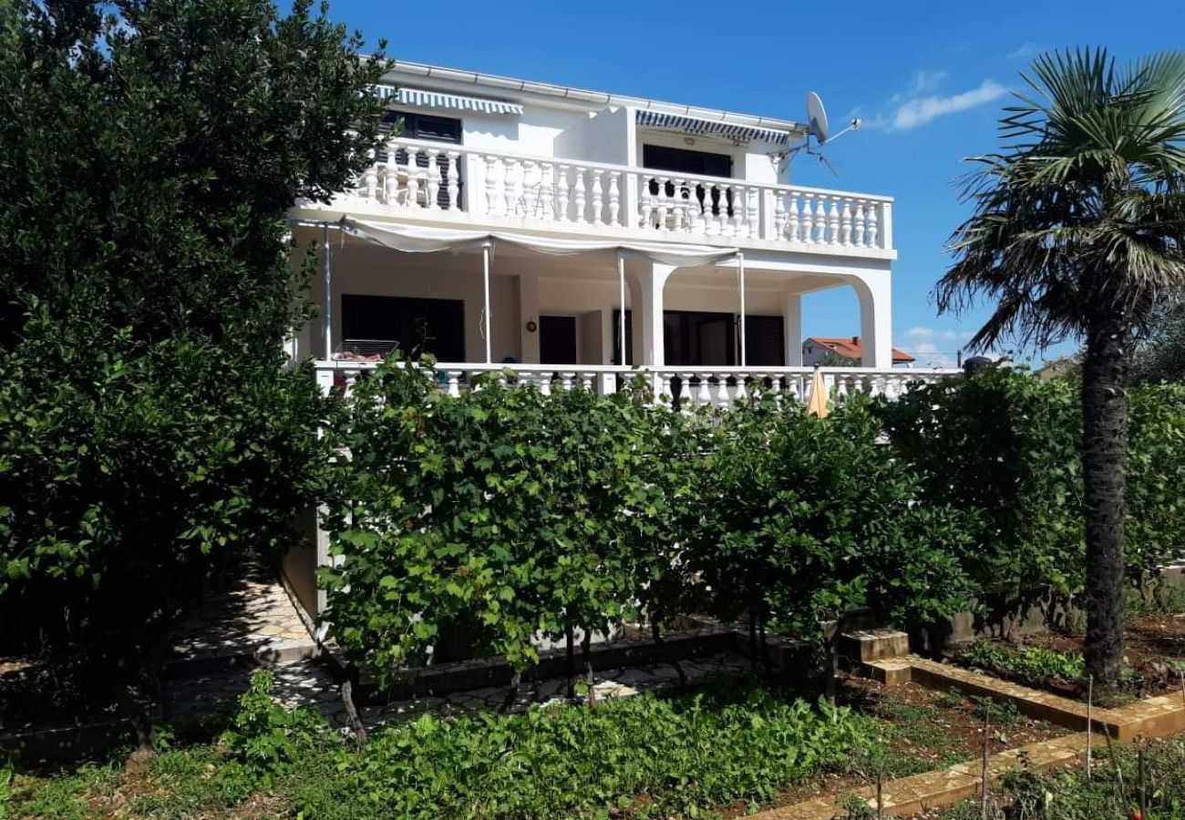 Ferienwohnung in Novalja - Ferienwohnung in Novalja mit Meerblick, Terrasse, Klimaanlage, W-LAN (3572-1)