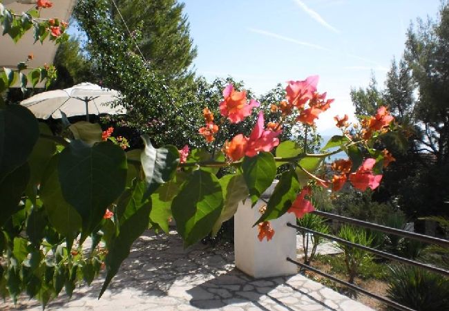 Ferienwohnung in Zavala - Ferienwohnung in Zavala mit Meerblick, Terrasse, Klimaanlage, W-LAN (3576-1) Ferienwohnung in Zavala - Ferienwohnung in Zavala mit Meerblick, Terrasse, Klimaanlage, W-LAN (3576-1)