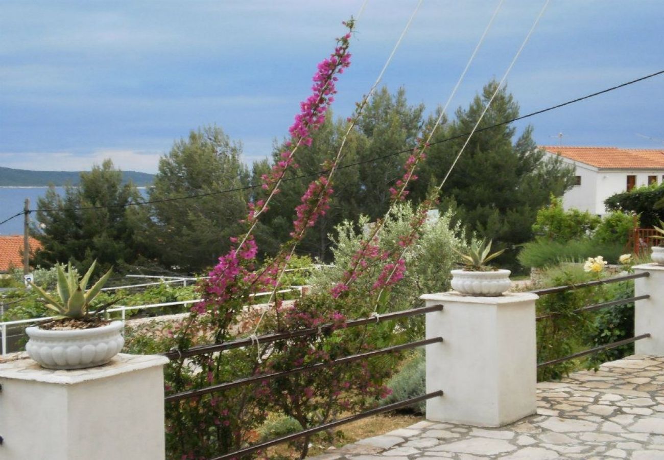 Ferienwohnung in Zavala - Ferienwohnung in Zavala mit Meerblick, Terrasse, Klimaanlage, W-LAN (3576-1)