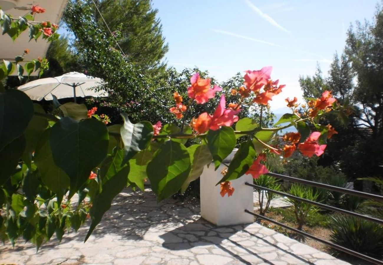 Ferienwohnung in Zavala - Ferienwohnung in Zavala mit Meerblick, Terrasse, Klimaanlage, W-LAN (3576-1)