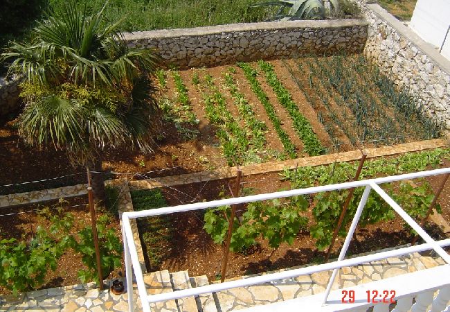 Ferienwohnung in Novalja - Ferienwohnung in Novalja mit Meerblick, Terrasse, Klimaanlage, W-LAN (3572-2) Ferienwohnung in Novalja - Ferienwohnung in Novalja mit Meerblick, Terrasse, Klimaanlage, W-LAN (3572-2)