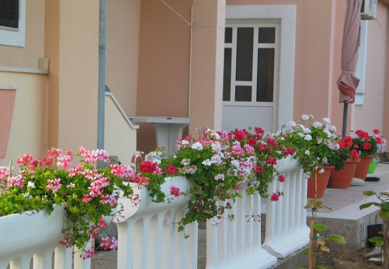 Ferienwohnung in Privlaka - Ferienwohnung in Privlaka mit Terrasse, Klimaanlage, W-LAN, Waschmaschine (821-2)