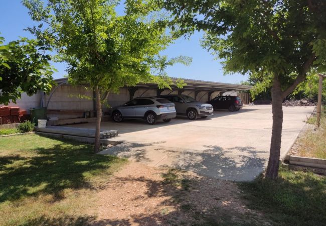 Ferienwohnung in Privlaka - Ferienwohnung in Privlaka mit Meerblick, Balkon, Klimaanlage, W-LAN (3598-1) Ferienwohnung in Privlaka - Ferienwohnung in Privlaka mit Meerblick, Balkon, Klimaanlage, W-LAN (3598-1)