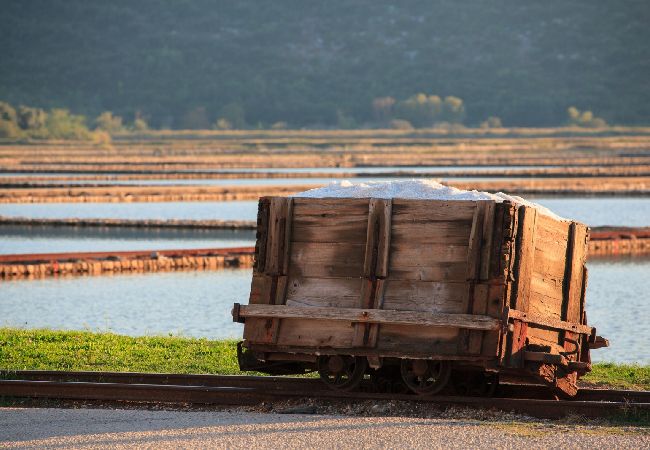 Ferienwohnung in Mali Ston - Ferienwohnung in Ston / Mali Ston mit Meerblick, Terrasse, Klimaanlage, W-LAN (3588-2) Ferienwohnung in Mali Ston - Ferienwohnung in Ston / Mali Ston mit Meerblick, Terrasse, Klimaanlage, W-LAN (3588-2)