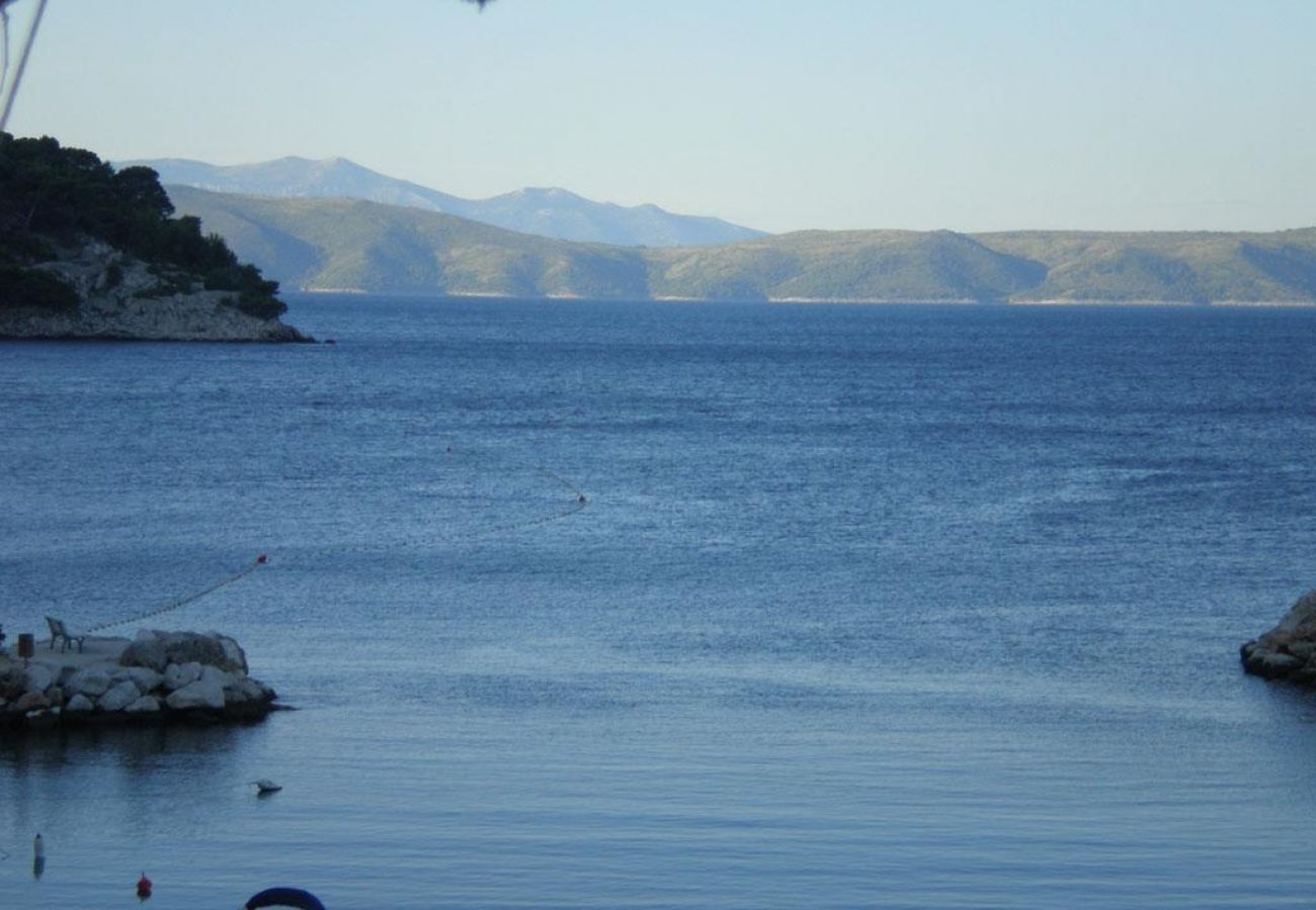 Ferienwohnung in Drašnice - Ferienwohnung in Drašnice mit Meerblick, Balkon, Klimaanlage, W-LAN (3586-1)