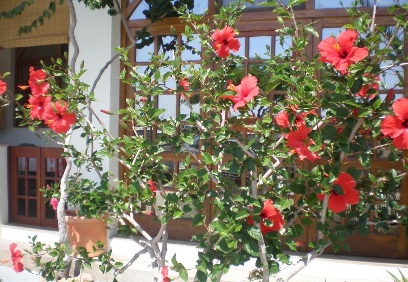 Ferienwohnung in Drašnice - Ferienwohnung in Drašnice mit Meerblick, Loggia, Klimaanlage, W-LAN (3586-4)