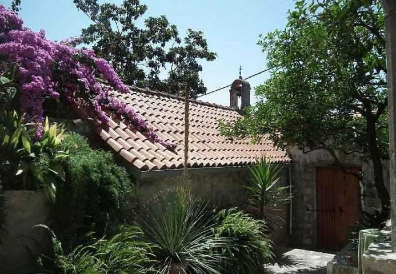 Ferienhaus in Cavtat - Ferienhaus in Cavtat mit Meerblick, Terrasse, Klimaanlage, W-LAN (3612-1)