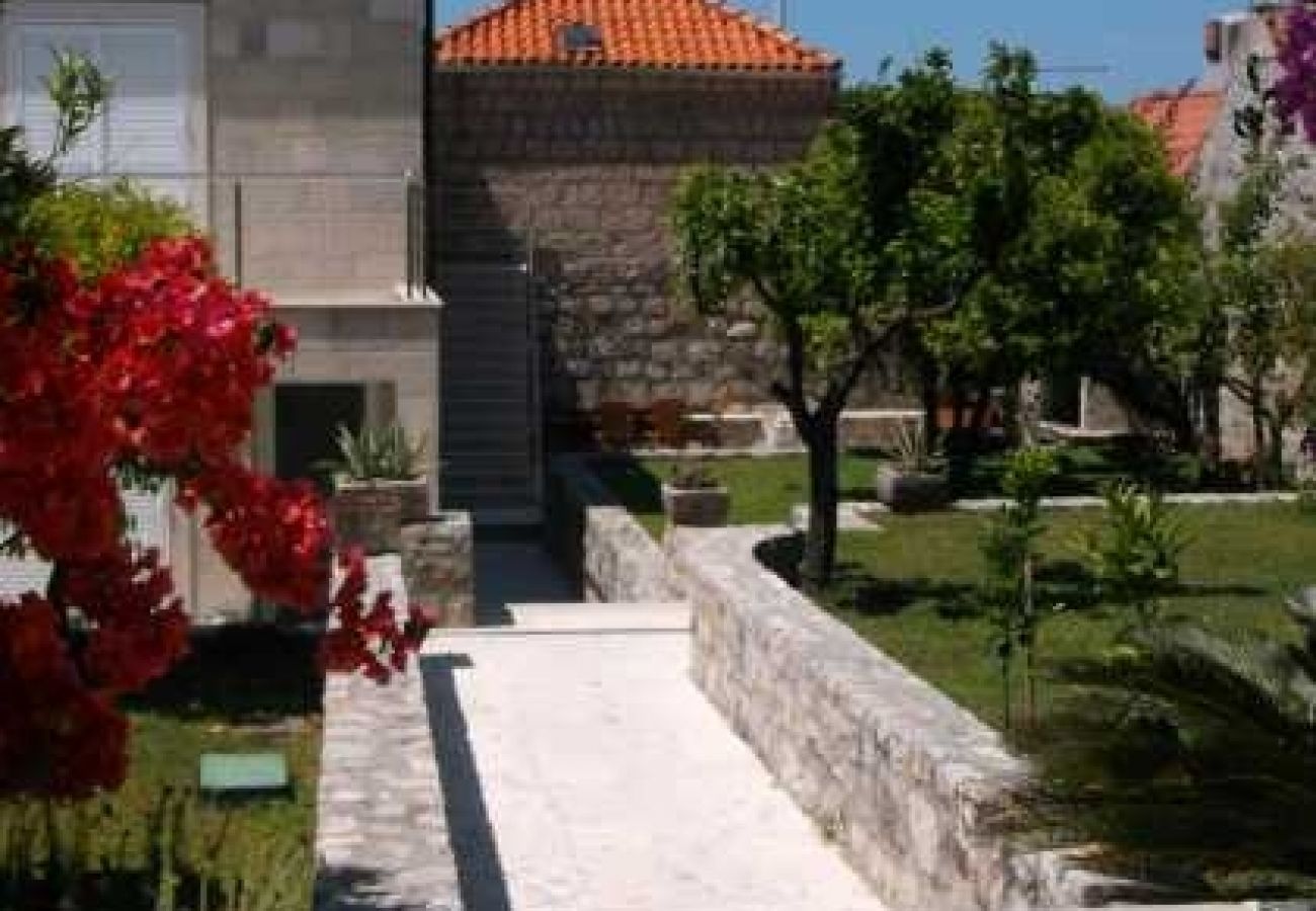 Ferienhaus in Cavtat - Ferienhaus in Cavtat mit Meerblick, Terrasse, Klimaanlage, W-LAN (3612-1)