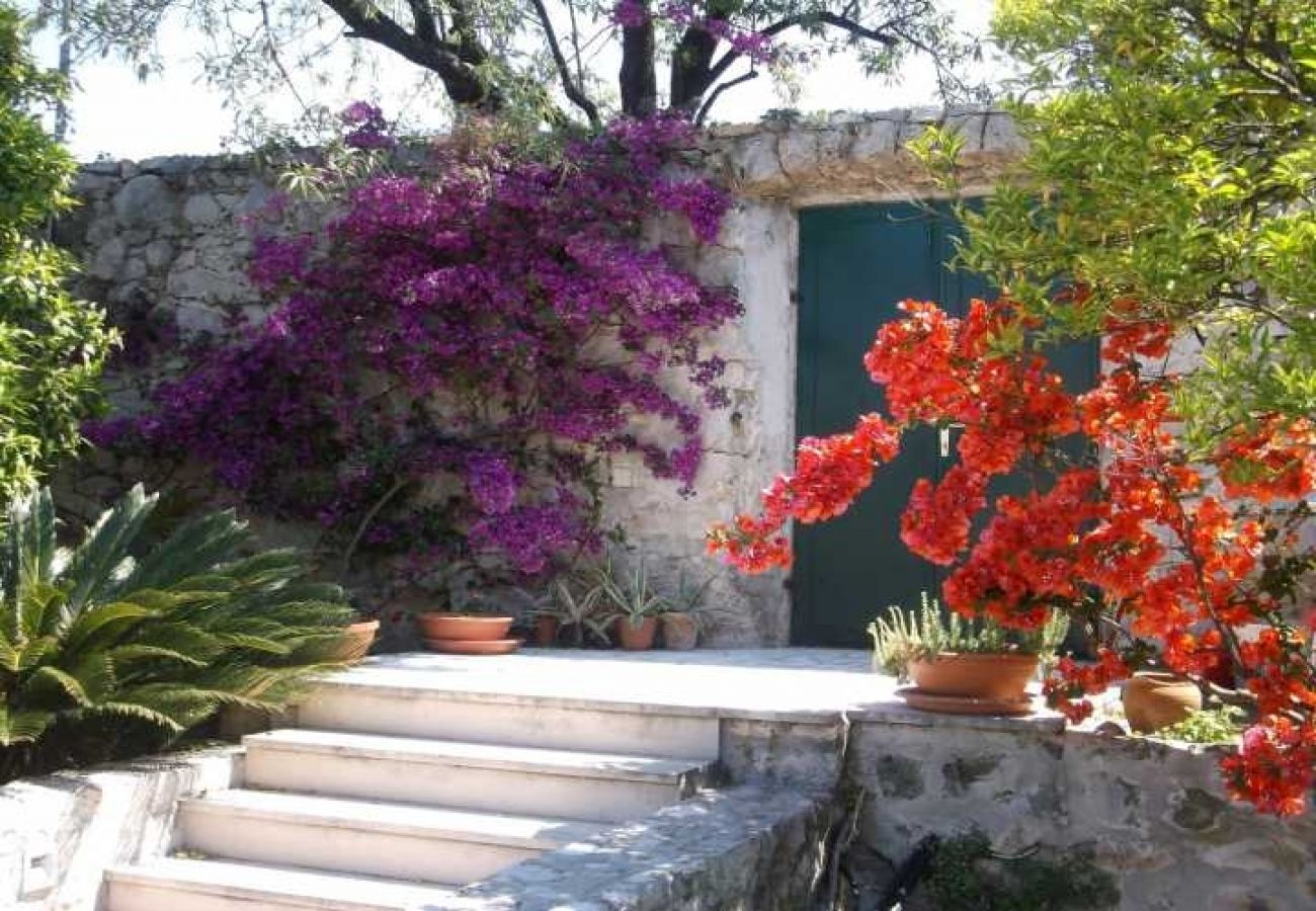 Ferienwohnung in Cavtat - Ferienwohnung in Cavtat mit Meerblick, Terrasse, Klimaanlage, W-LAN (3612-2)